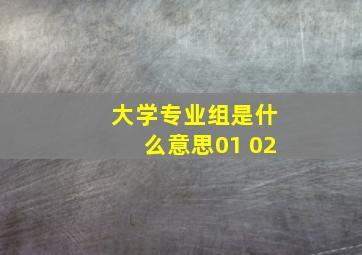 大学专业组是什么意思01 02